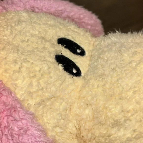 VTG RARE 1999 TY beanie baby Tylon Pillow Pals Dogbaby the Rattle Plush Animal - Picture 9 of 11